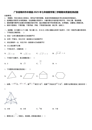 广东省梅州市丰顺县2025年七年级数学第二学期期末质量检测试题含解析