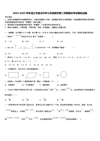 2024-2025学年湛江市重点中学七年级数学第二学期期末考试模拟试题含解析