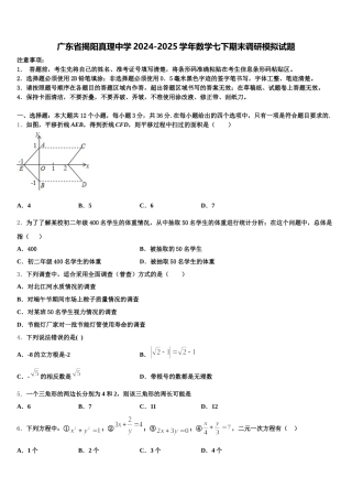 广东省揭阳真理中学2024-2025学年数学七下期末调研模拟试题含解析