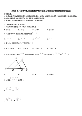 2025年广东省中山市名校数学七年级第二学期期末质量检测模拟试题含解析