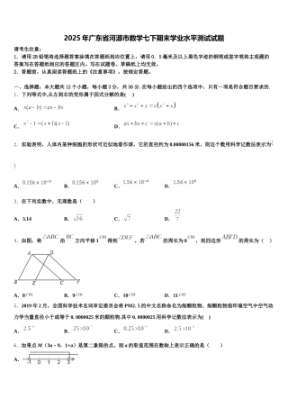 2025年广东省河源市数学七下期末学业水平测试试题含解析