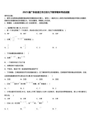 2025届广东省湛江市三校七下数学期末考试试题含解析