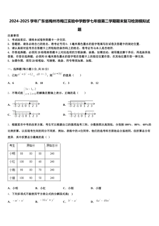 2024-2025学年广东省梅州市梅江实验中学数学七年级第二学期期末复习检测模拟试题含解析
