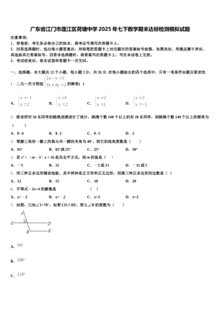 广东省江门市蓬江区荷塘中学2025年七下数学期末达标检测模拟试题含解析