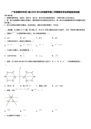 广东省惠州市龙门县2025年七年级数学第二学期期末学业质量监测试题含解析