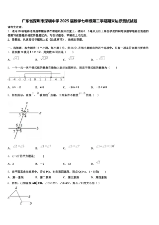 广东省深圳市深圳中学2025届数学七年级第二学期期末达标测试试题含解析