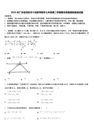 2025年广东省茂名市十校联考数学七年级第二学期期末质量跟踪监视试题含解析
