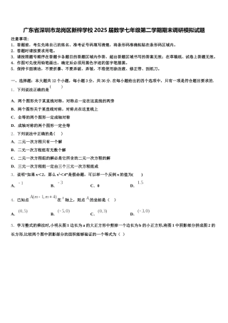 广东省深圳市龙岗区新梓学校2025届数学七年级第二学期期末调研模拟试题含解析
