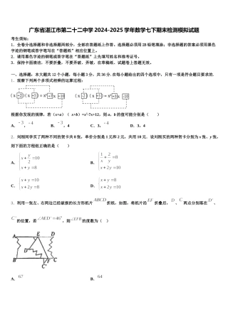 广东省湛江市第二十二中学2024-2025学年数学七下期末检测模拟试题含解析