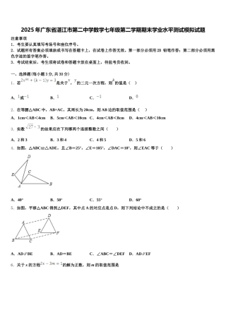 2025年广东省湛江市第二中学数学七年级第二学期期末学业水平测试模拟试题含解析