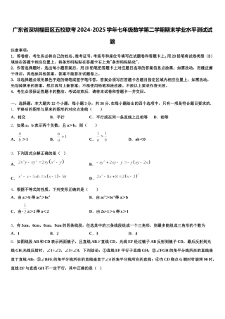 广东省深圳福田区五校联考2024-2025学年七年级数学第二学期期末学业水平测试试题含解析