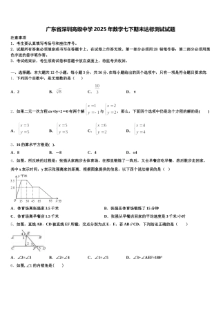广东省深圳高级中学2025年数学七下期末达标测试试题含解析