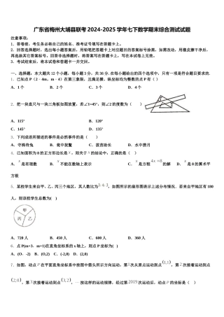 广东省梅州大埔县联考2024-2025学年七下数学期末综合测试试题含解析
