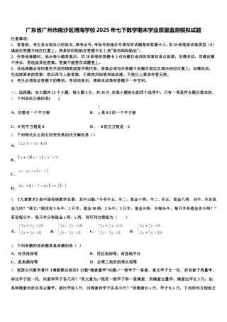 广东省广州市南沙区博海学校2025年七下数学期末学业质量监测模拟试题含解析