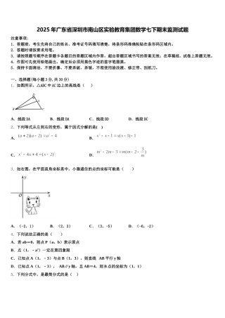2025年广东省深圳市南山区实验教育集团数学七下期末监测试题含解析