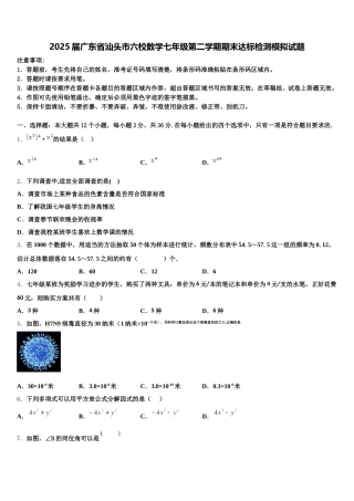 2025届广东省汕头市六校数学七年级第二学期期末达标检测模拟试题含解析