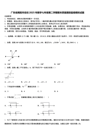广东省揭阳市名校2025年数学七年级第二学期期末质量跟踪监视模拟试题含解析