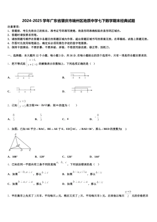 2024-2025学年广东省肇庆市端州区地质中学七下数学期末经典试题含解析
