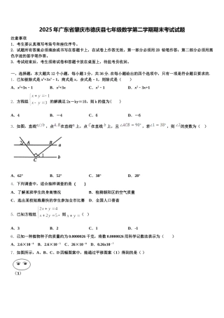 2025年广东省肇庆市德庆县七年级数学第二学期期末考试试题含解析