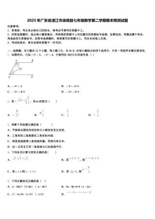 2025年广东省湛江市徐闻县七年级数学第二学期期末预测试题含解析