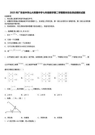 2025年广东省中学山大附属中学七年级数学第二学期期末综合测试模拟试题含解析