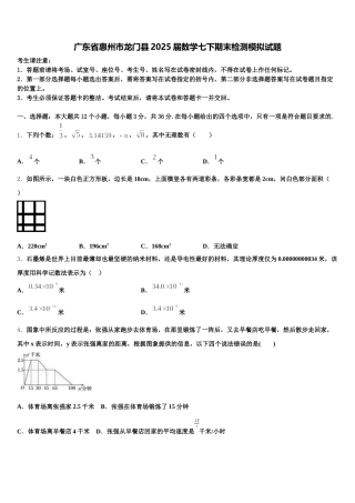 广东省惠州市龙门县2025届数学七下期末检测模拟试题含解析