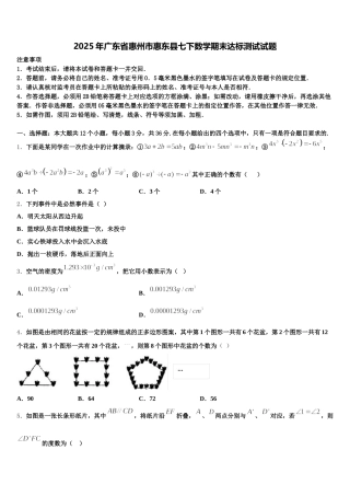 2025年广东省惠州市惠东县七下数学期末达标测试试题含解析