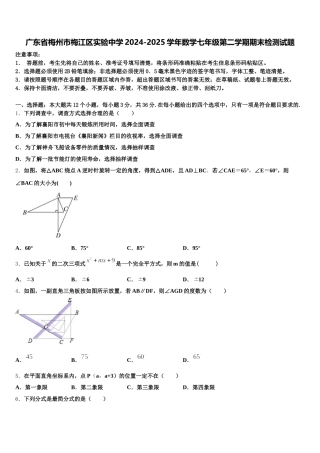 广东省梅州市梅江区实验中学2024-2025学年数学七年级第二学期期末检测试题含解析