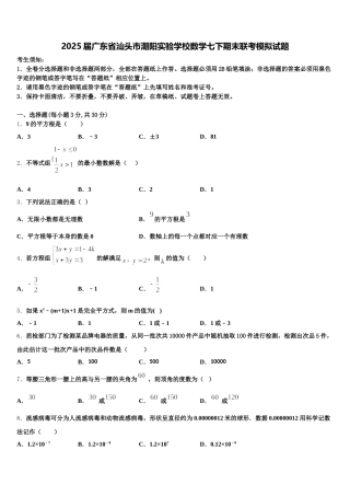 2025届广东省汕头市潮阳实验学校数学七下期末联考模拟试题含解析