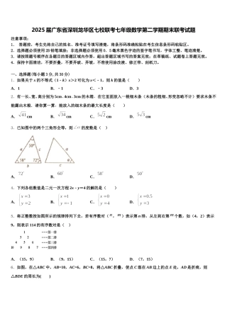 2025届广东省深圳龙华区七校联考七年级数学第二学期期末联考试题含解析