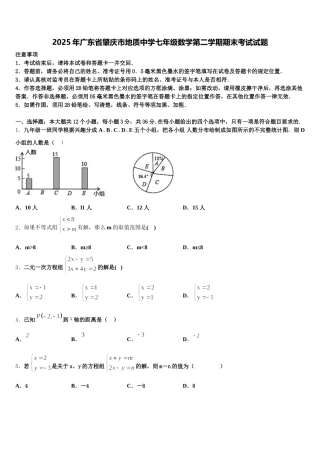 2025年广东省肇庆市地质中学七年级数学第二学期期末考试试题含解析