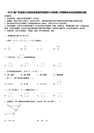 2025届广东省阳江市阳东区星重学校数学七年级第二学期期末综合测试模拟试题含解析