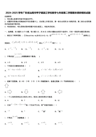 2024-2025学年广东省汕尾市甲子镇瀛江学校数学七年级第二学期期末调研模拟试题含解析