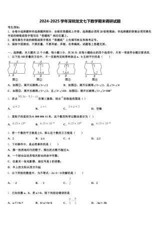 2024-2025学年深圳龙文七下数学期末调研试题含解析