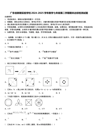 广东省新朗实验学校2024-2025学年数学七年级第二学期期末达标检测试题含解析