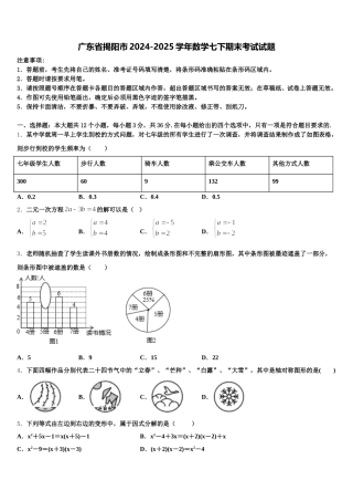 广东省揭阳市2024-2025学年数学七下期末考试试题含解析