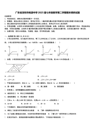 广东省深圳市桃源中学2025届七年级数学第二学期期末调研试题含解析