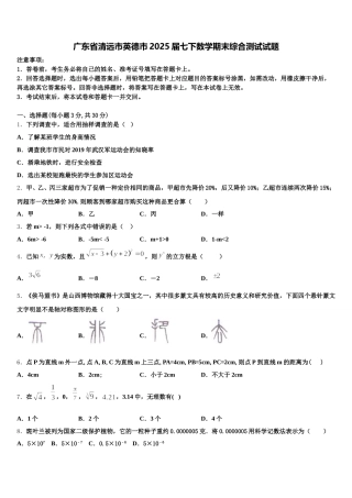 广东省清远市英德市2025届七下数学期末综合测试试题含解析