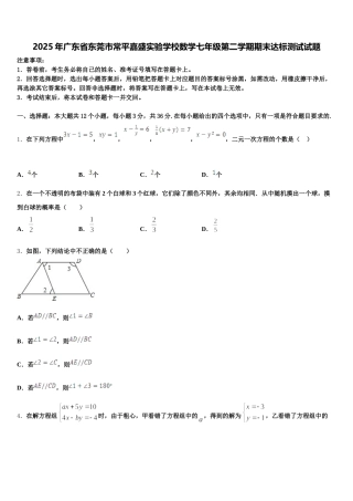 2025年广东省东莞市常平嘉盛实验学校数学七年级第二学期期末达标测试试题含解析