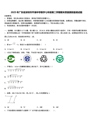 2025年广东省深圳市平湖中学数学七年级第二学期期末质量跟踪监视试题含解析
