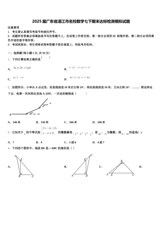 2025届广东省湛江市名校数学七下期末达标检测模拟试题含解析