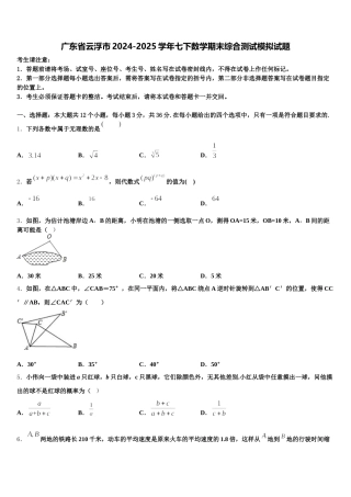 广东省云浮市2024-2025学年七下数学期末综合测试模拟试题含解析