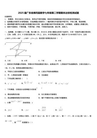 2025届广东省佛冈县数学七年级第二学期期末达标检测试题含解析