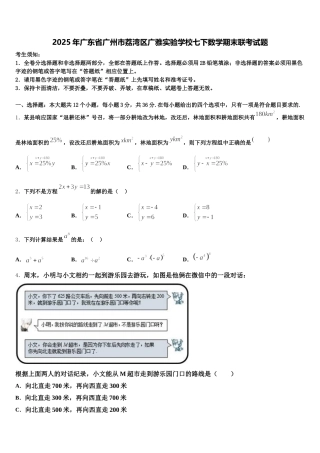 2025年广东省广州市荔湾区广雅实验学校七下数学期末联考试题含解析