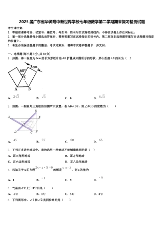 2025届广东省华师附中新世界学校七年级数学第二学期期末复习检测试题含解析