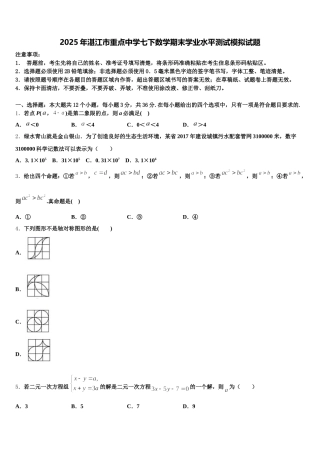 2025年湛江市重点中学七下数学期末学业水平测试模拟试题含解析