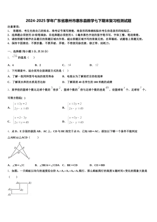 2024-2025学年广东省惠州市惠东县数学七下期末复习检测试题含解析