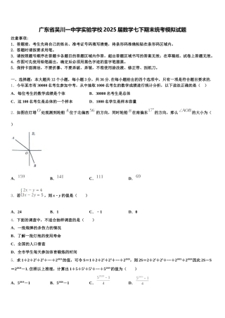 广东省吴川一中学实验学校2025届数学七下期末统考模拟试题含解析