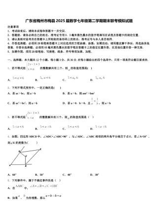 广东省梅州市梅县2025届数学七年级第二学期期末联考模拟试题含解析