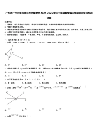 广东省广州市华南师范大附属中学2024-2025学年七年级数学第二学期期末复习检测试题含解析